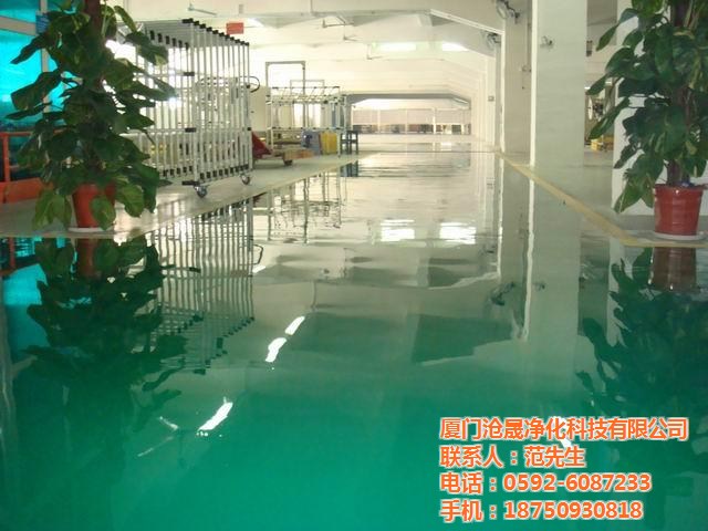 泉州地坪漆 泉州沧晟环氧地坪漆 环氧地坪漆的种类
